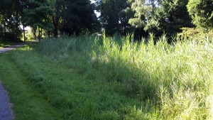 20160704_084622
